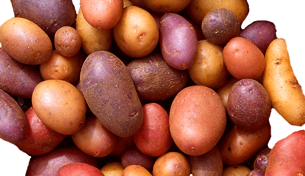 Potato Specific Gravity Chart: A Visual Reference of Charts | Chart Master